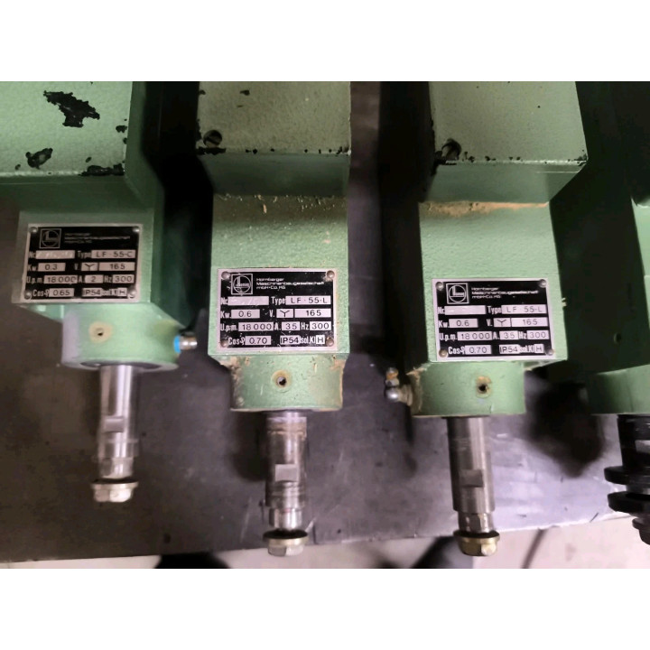 Spindelmotor Homag, Perske Spindel