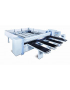 Panel Ebatlama